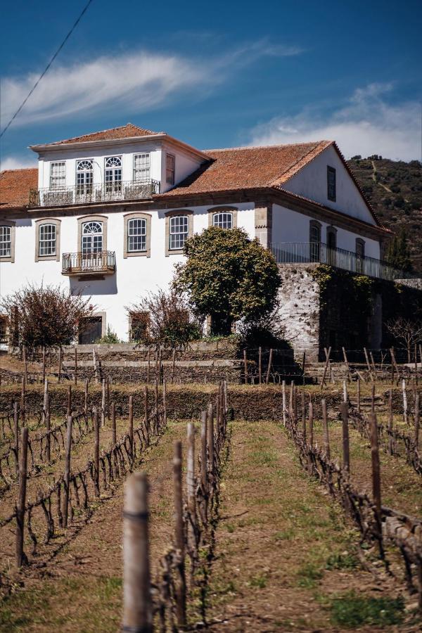 Casa Do Santo - Wine & Tourism Villa Provesende Dış mekan fotoğraf