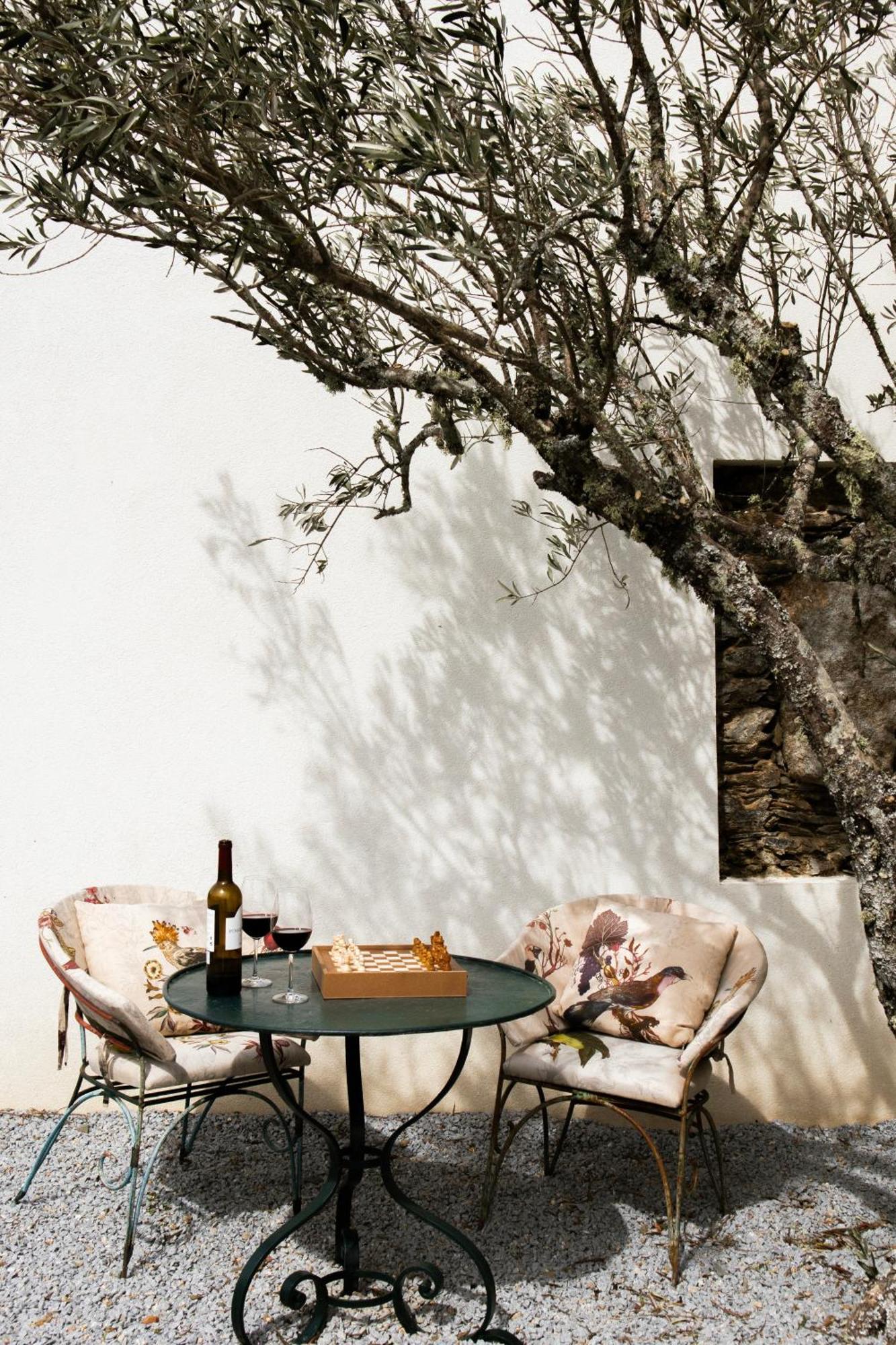 Casa Do Santo - Wine & Tourism Villa Provesende Dış mekan fotoğraf