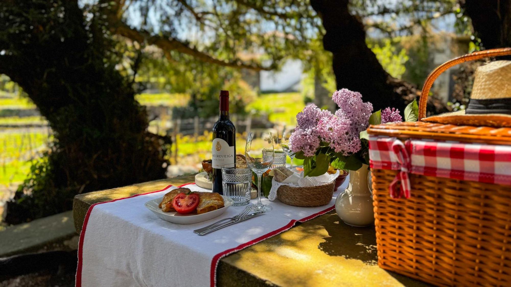 Casa Do Santo - Wine & Tourism Villa Provesende Dış mekan fotoğraf